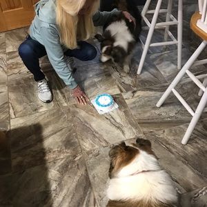 Meet your Posher, Jayne